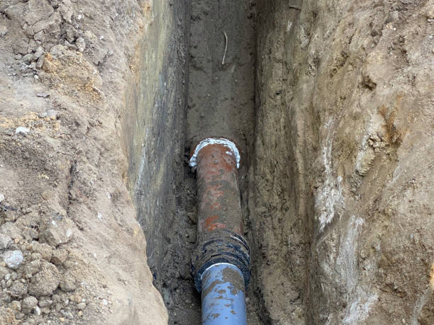 Best Basement water damage restoration  in Prien, LA