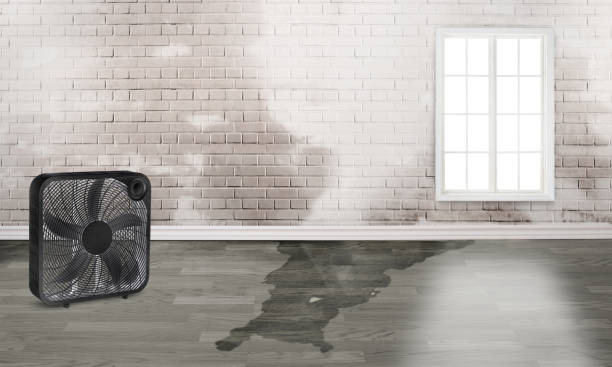Best Emergency water damage restoration  in Prien, LA