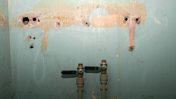 Best Flood damage cleanup  in Prien, LA