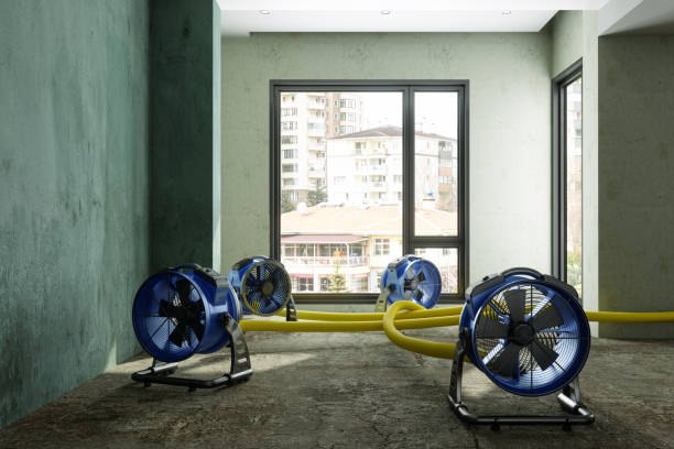 Best Sewage cleanup and water damage restoration  in Prien, LA