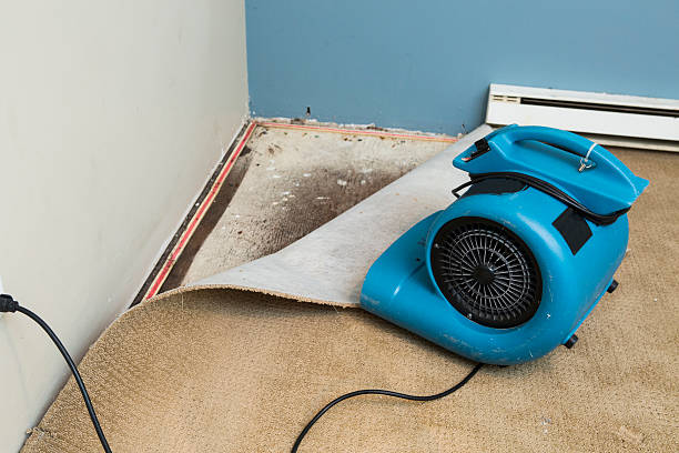 Best Water damage restoration near me  in Prien, LA
